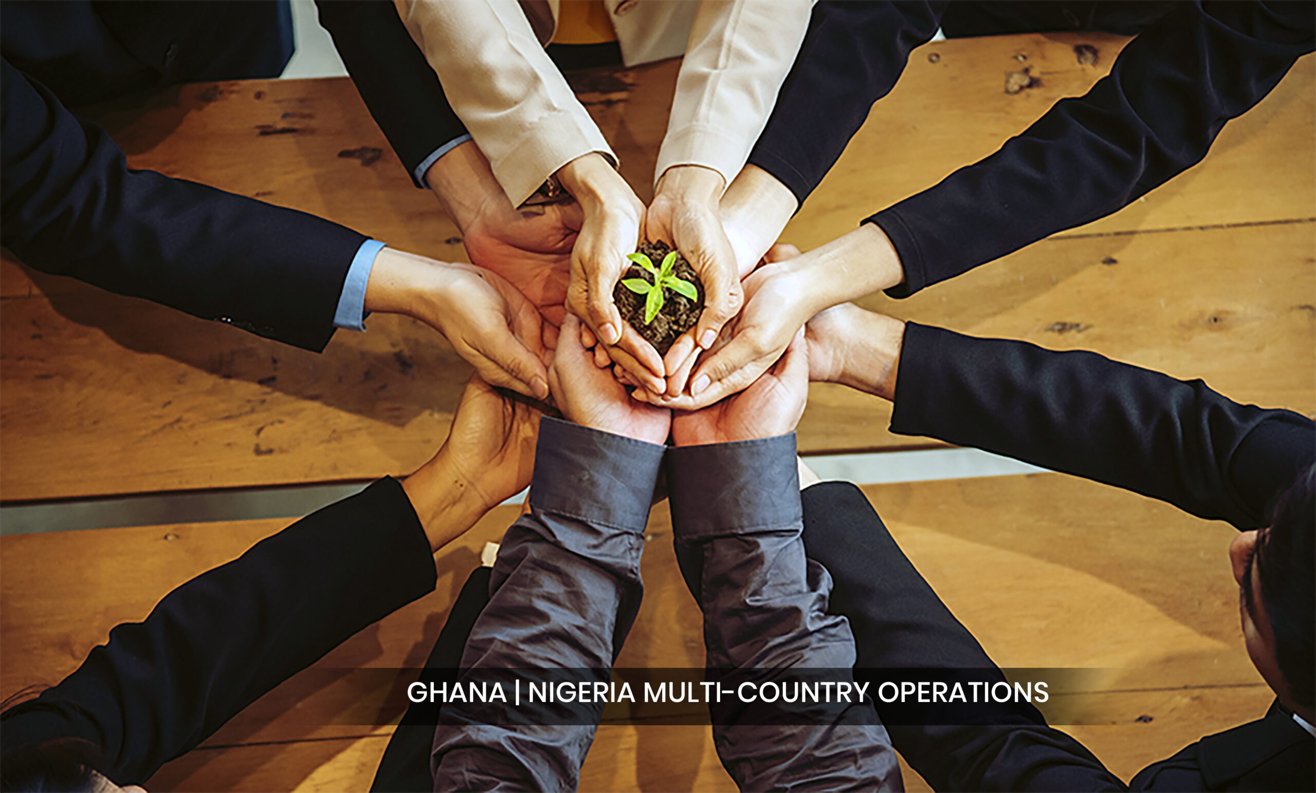 green business meeting. united partners team with hands together holding plant green trusted friends. hands stacked holding with sustainability partners. trust business authentic of people.